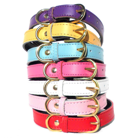 Plain Chelsea Dog Collars (4 sizes) 8-16"