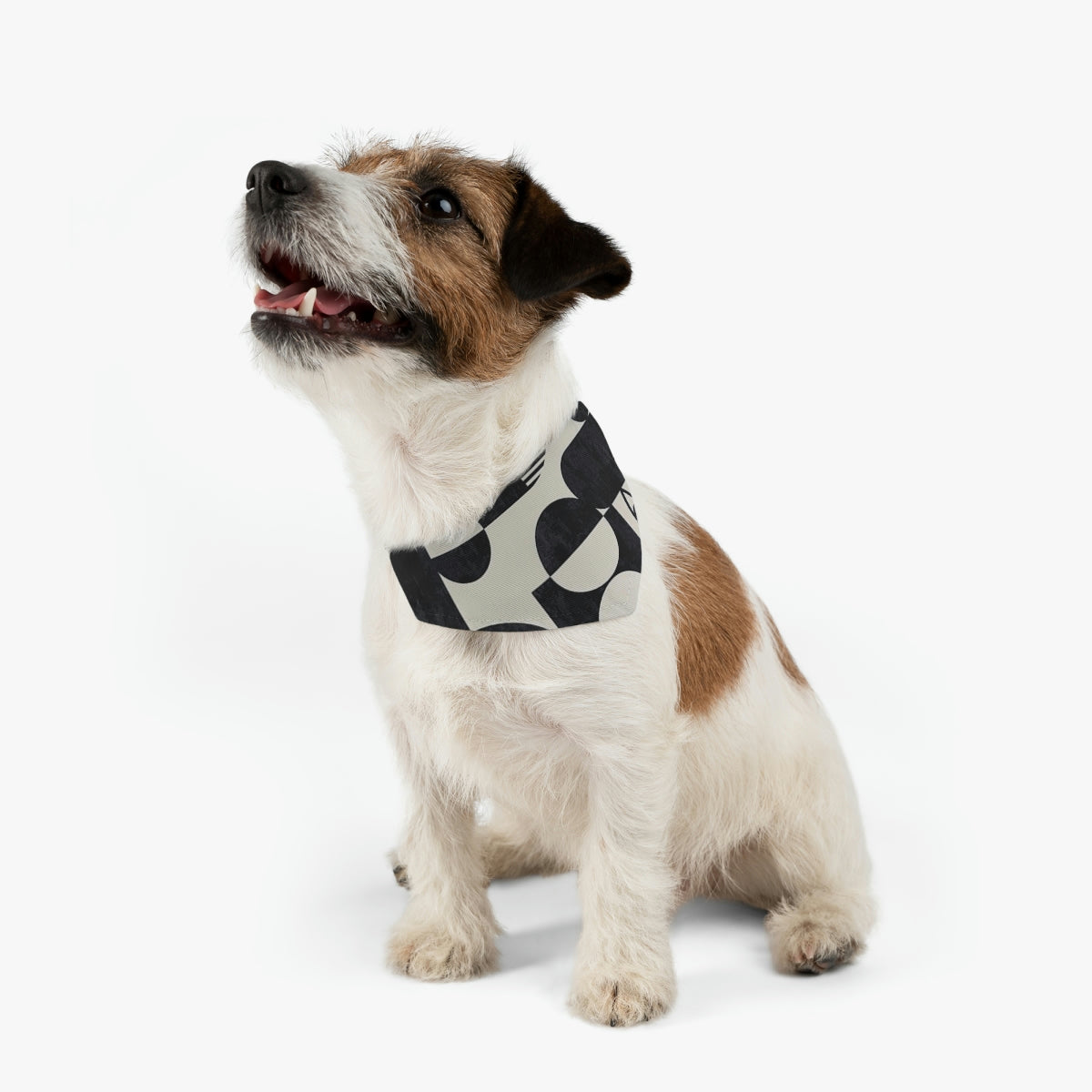 Pet Bandana Collar - Abstract