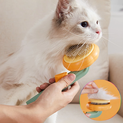 Grooming combs Clean Brush Cat Hair Brush